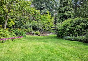 Optimiser l'expérience du jardin à Saint-Sauveur-d'Aunis